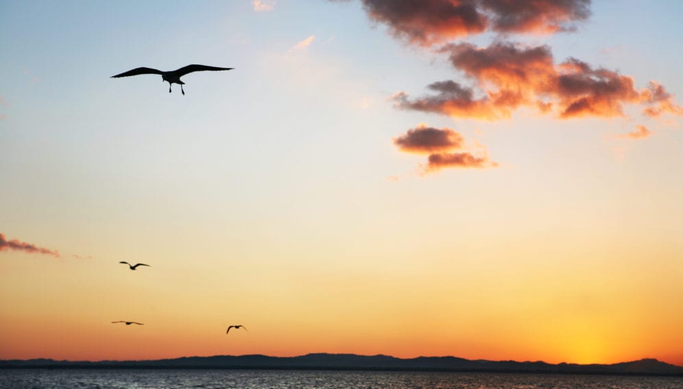 Lake Nicaragua_Dieter Telemans_Panos