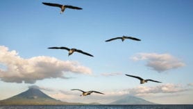 Nicaraguan canal plans worry scientists