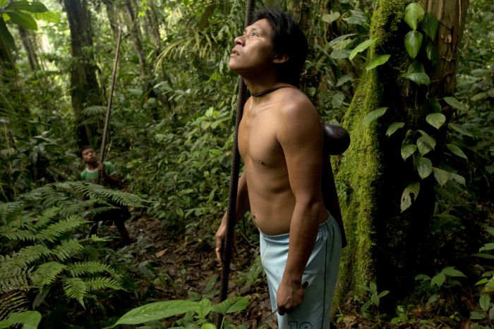 In the jungle