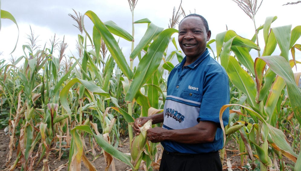 Local_Knowledge IPCC report_CIMMYT