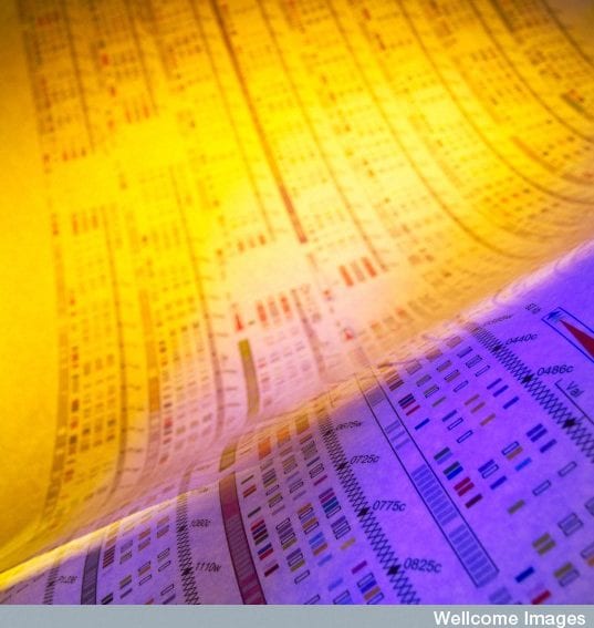 Malaria genome_Wellcome.jpg