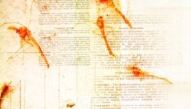 Technology roadmap resets targets on malaria vaccines