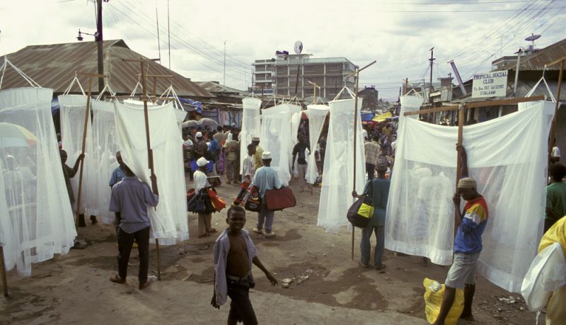 Mosquito nets for sale
