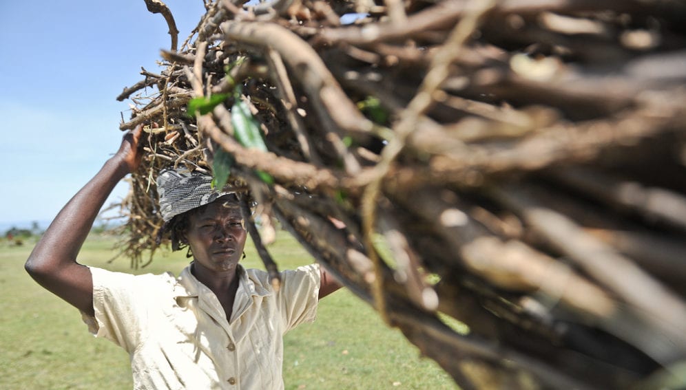 MultipurposeTree_EastAfrica_FlickrCGIAR Climate_2048x1363