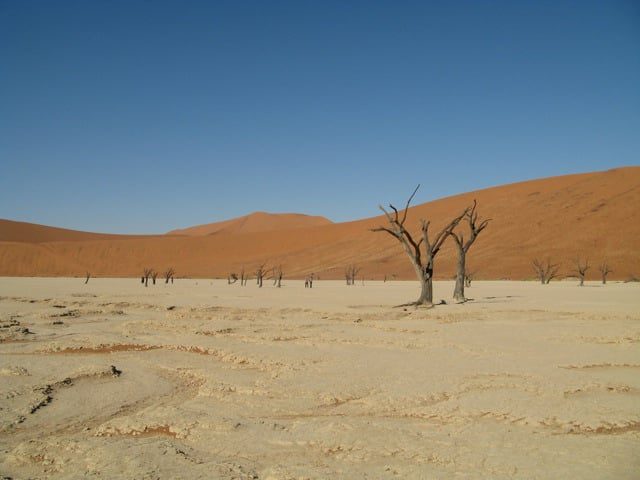 Namibian Desert_Flickr_SAGT