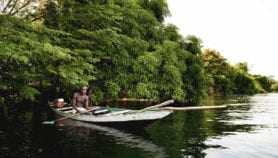 Climate action held back by conflicting policy in African countries