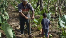 Hope for science initiatives in Pacific Islands Forum