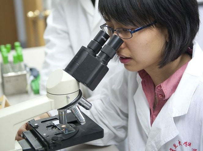 research_in_China_Flickr_Gates_foundation