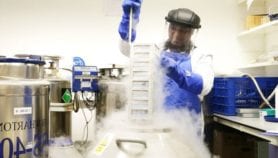 Africa Analysis: Research grant shake-up brings hope