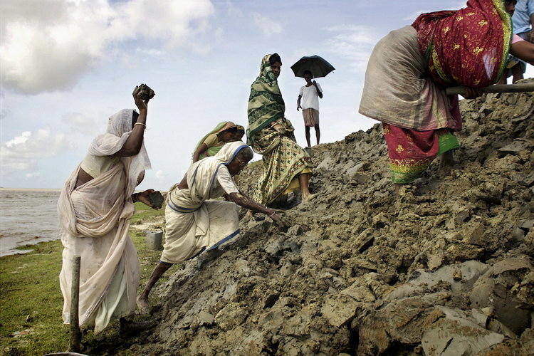 Gender SDGs Sustainability