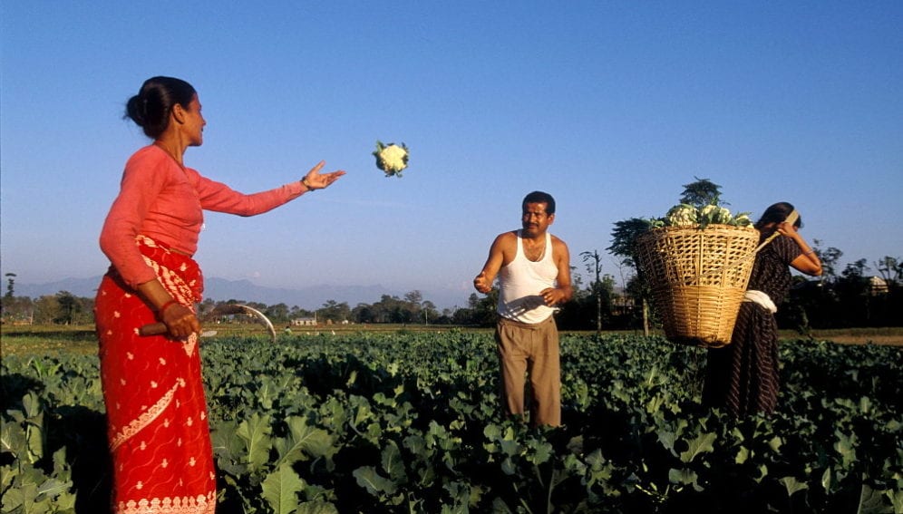 Nepal Farmers App