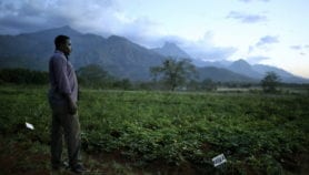 Focus on Poverty: Improving nutrition isn’t just about science