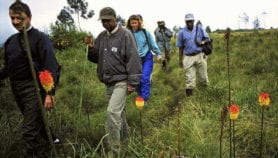 Conservation gets low share of tourist income