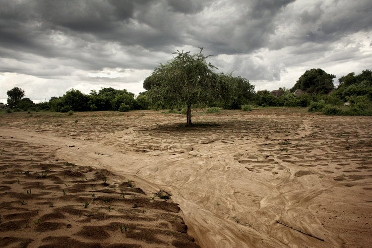 Push for soil indicators to help monitor SDGs