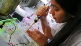 Tuberculosis drug candidate begins clinical safety trial