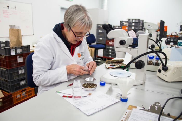 seed_bank podcast.jpg