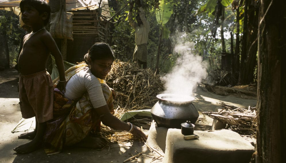 Shift to biogas helps revive forests_panos