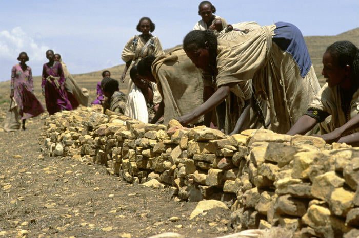 Soil Food security agriculture multimedia.jpg