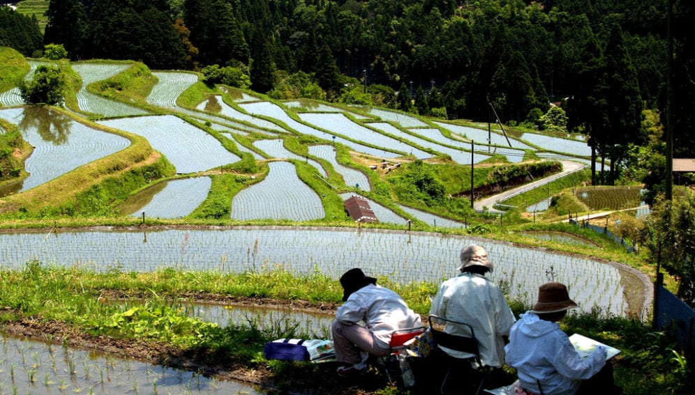 Terraced Farm_Flickr_The AgriCultures Network