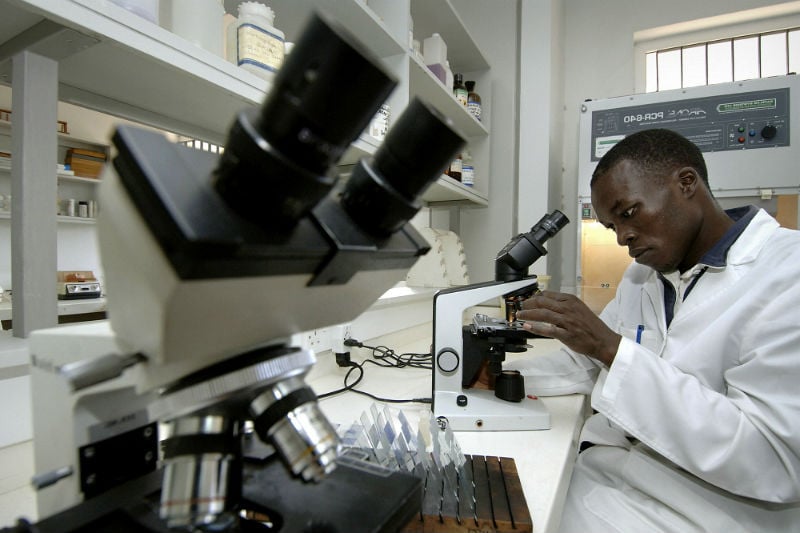 using a microscope to study sputum samples