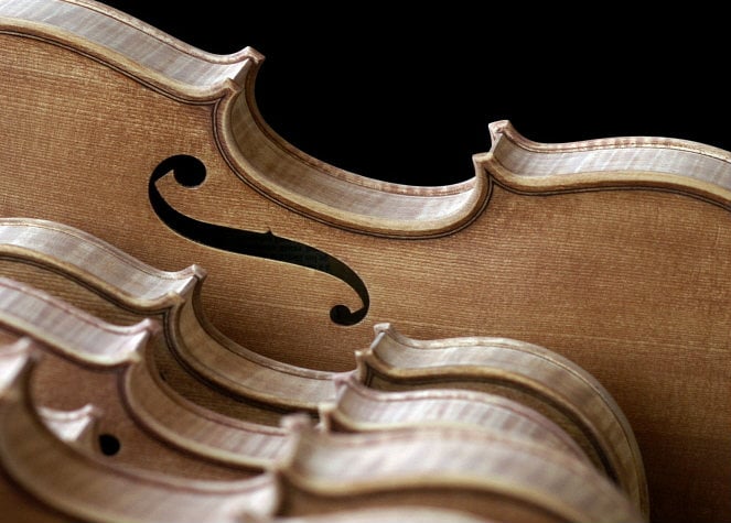 viola.jpg