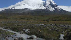 Glacier retreat upsets river species balance