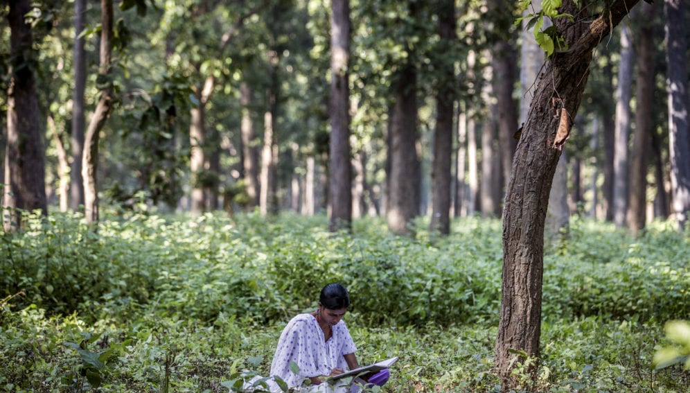 woman in forest_panos