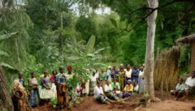 Call to raise herbal medicine standards