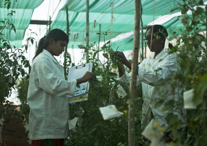 Women doing seed research.jpg