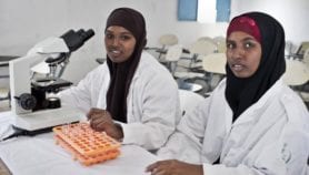 Online tool to track African women in STEM