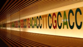 Unlocking modern, ancient Egyptian DNA secrets