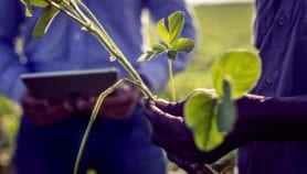 AI for development: facts and figures