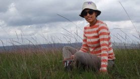 Global tree pledge frenzy threatens ancient grasslands