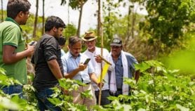 Q&A: AI for developing countries must be adaptable and low-cost