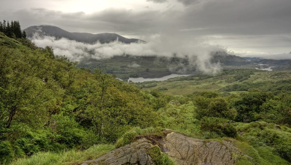 deforestation by Pixabay