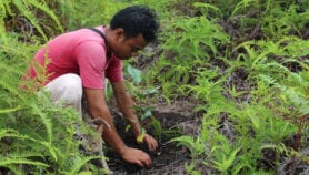 Human footprint shows extinction, climate change steps