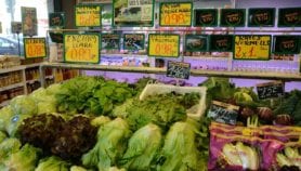 High cost of healthy food to blame for malnutrition