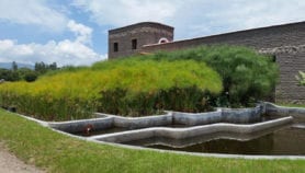 Wetlands the answer to ‘invisible’ wastewater crisis?