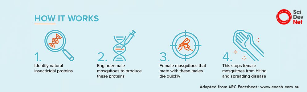 ARC_Fact sheet - new bio-control method for malaria