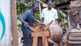 Cocoa fermenting box reaps rewards for Uganda’s farmers