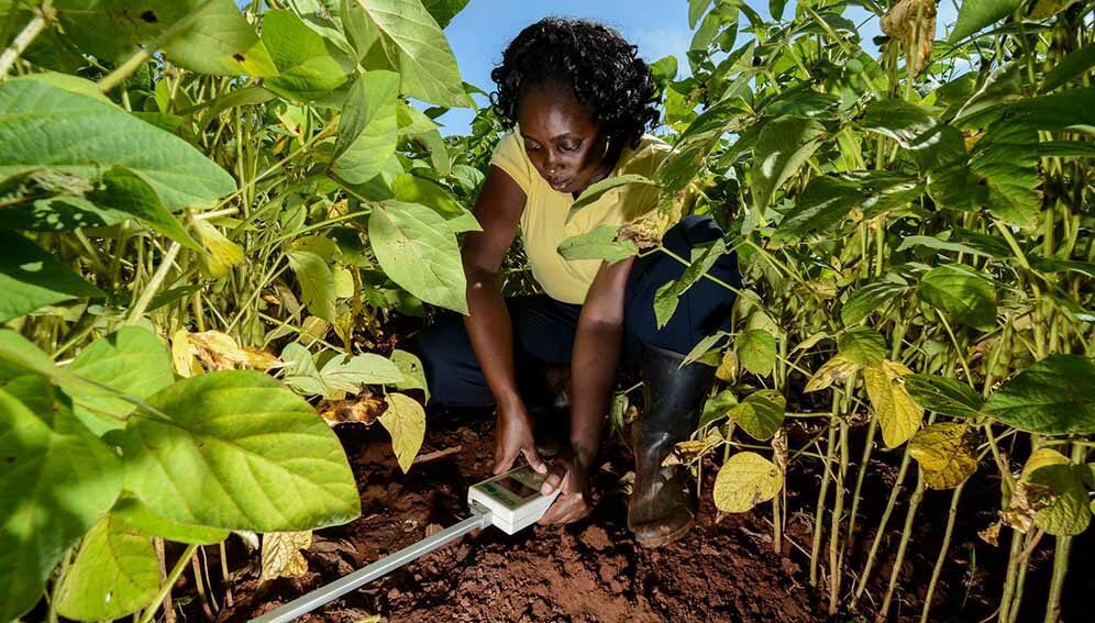 Credit: CIAT/GeorginaSmith
