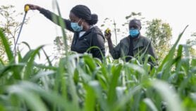 Funding, foreign influence ‘hinder African science progress’