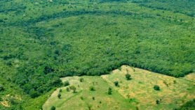 Mapping carbon reserves to fight climate change