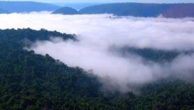 Indigenous people raise voices to avert Amazon tipping point