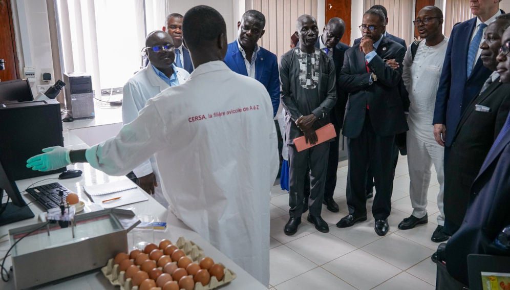 Students discuss their research at the Regional Center of Excellence in Avian Sciences at the University of Lomé in Togo in 2023.