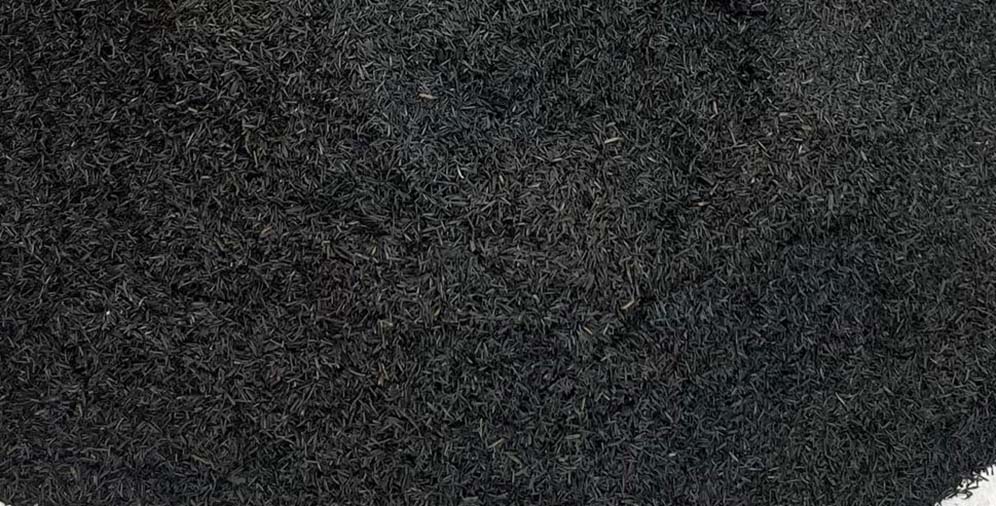 Black soldier fly larvae.