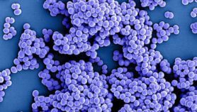 Nations vow to cut deaths from drug-resistant bacteria