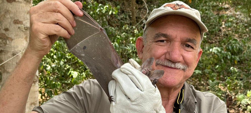 Rodrigo Medellín, researcher at the Institute of Ecology at the National Autonomous University of Mexico studies bats at night. Photo courtesy of Rodrigo Medellín.
