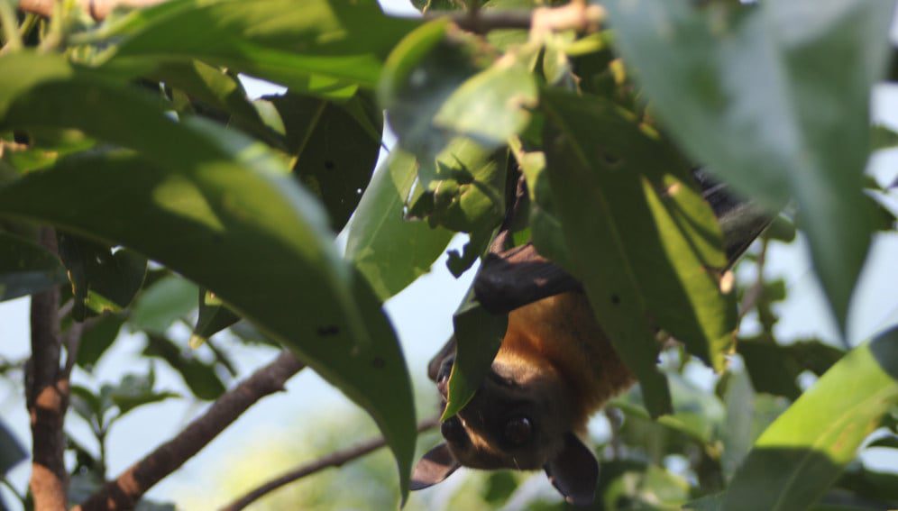 Photo by Max Barners on Rwanda trip