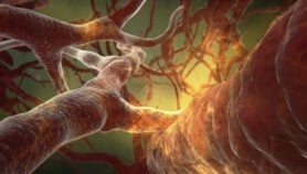 Genomic study may help fight severe dengue disease